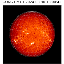 gong - 2024-08-30T18:00:42