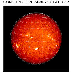 gong - 2024-08-30T19:00:42