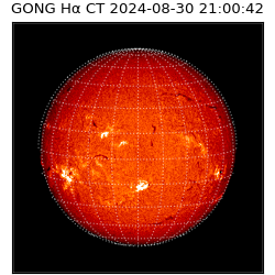 gong - 2024-08-30T21:00:42