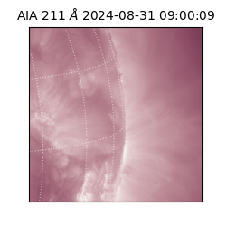 saia - 2024-08-31T09:00:09.626000