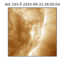 saia - 2024-08-31T06:00:04.843000