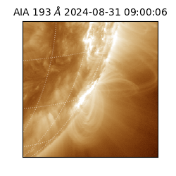 saia - 2024-08-31T09:00:06.421000