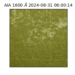 saia - 2024-08-31T06:00:14.126000