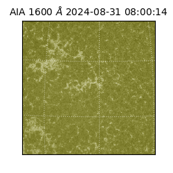 saia - 2024-08-31T08:00:14.118000