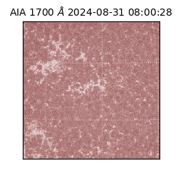 saia - 2024-08-31T08:00:28.710000