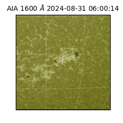 saia - 2024-08-31T06:00:14.126000