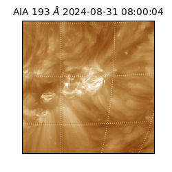 saia - 2024-08-31T08:00:04.835000