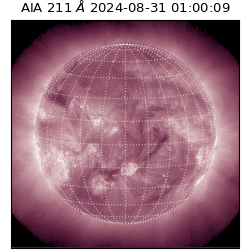 saia - 2024-08-31T01:00:09.622000