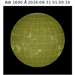 saia - 2024-08-31T01:00:14.126000