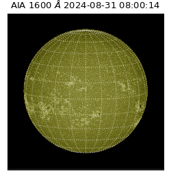 saia - 2024-08-31T08:00:14.118000