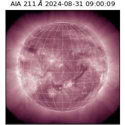 saia - 2024-08-31T09:00:09.626000