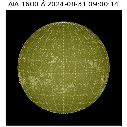 saia - 2024-08-31T09:00:14.126000