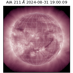 saia - 2024-08-31T19:00:09.626000