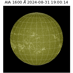 saia - 2024-08-31T19:00:14.126000