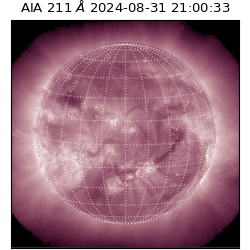 saia - 2024-08-31T21:00:33.626000