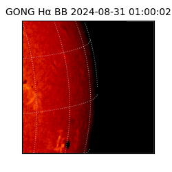 gong - 2024-08-31T01:00:02