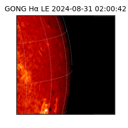 gong - 2024-08-31T02:00:42