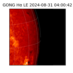 gong - 2024-08-31T04:00:42