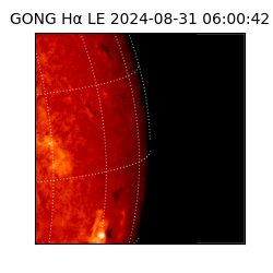 gong - 2024-08-31T06:00:42
