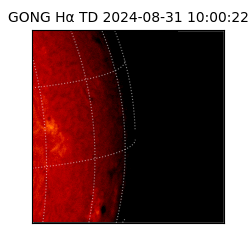 gong - 2024-08-31T10:00:22