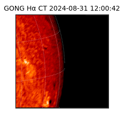 gong - 2024-08-31T12:00:42