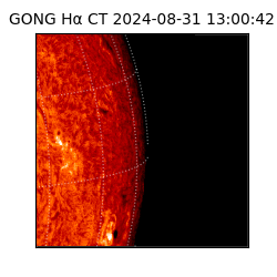 gong - 2024-08-31T13:00:42