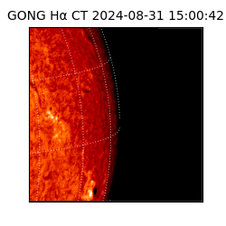 gong - 2024-08-31T15:00:42