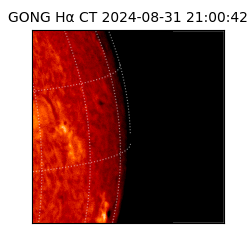 gong - 2024-08-31T21:00:42