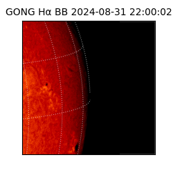 gong - 2024-08-31T22:00:02