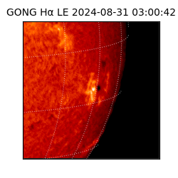 gong - 2024-08-31T03:00:42