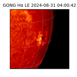 gong - 2024-08-31T04:00:42