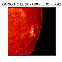 gong - 2024-08-31T05:00:42