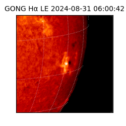 gong - 2024-08-31T06:00:42