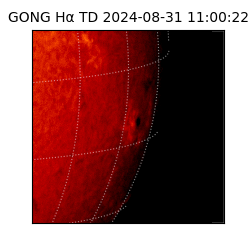 gong - 2024-08-31T11:00:22