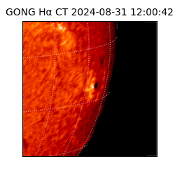 gong - 2024-08-31T12:00:42