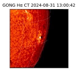 gong - 2024-08-31T13:00:42