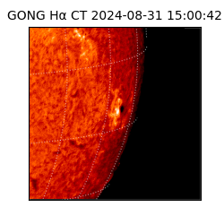 gong - 2024-08-31T15:00:42