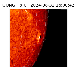 gong - 2024-08-31T16:00:42