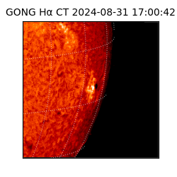 gong - 2024-08-31T17:00:42