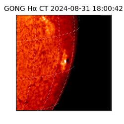 gong - 2024-08-31T18:00:42