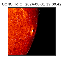 gong - 2024-08-31T19:00:42