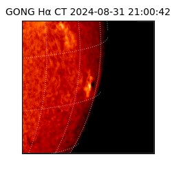 gong - 2024-08-31T21:00:42