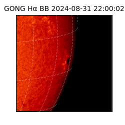 gong - 2024-08-31T22:00:02