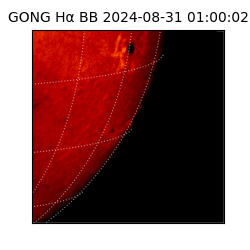 gong - 2024-08-31T01:00:02