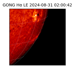 gong - 2024-08-31T02:00:42