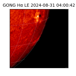 gong - 2024-08-31T04:00:42