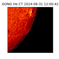 gong - 2024-08-31T12:00:42