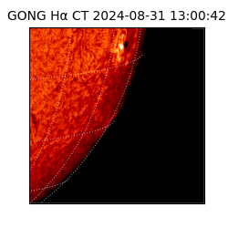 gong - 2024-08-31T13:00:42