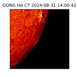 gong - 2024-08-31T14:00:42