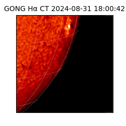 gong - 2024-08-31T18:00:42